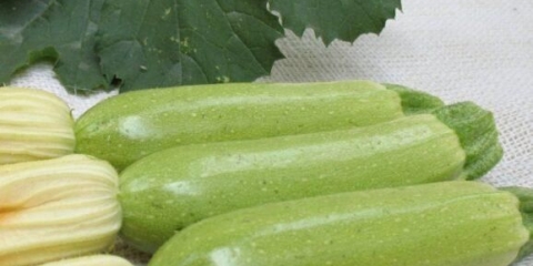 Kako sušiti tikvice za zimu kod kuće: u električnoj sušilici, na ulici, na suncu